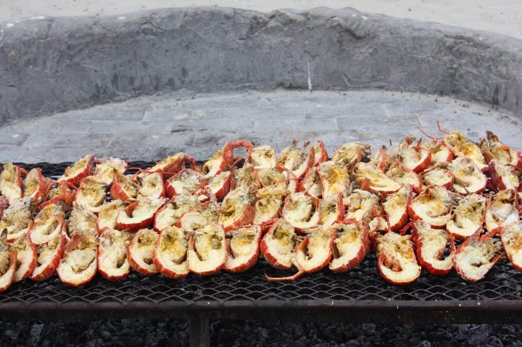 Grill shrimp-chefstemp X10 Grill shrimp-chefstemp X10