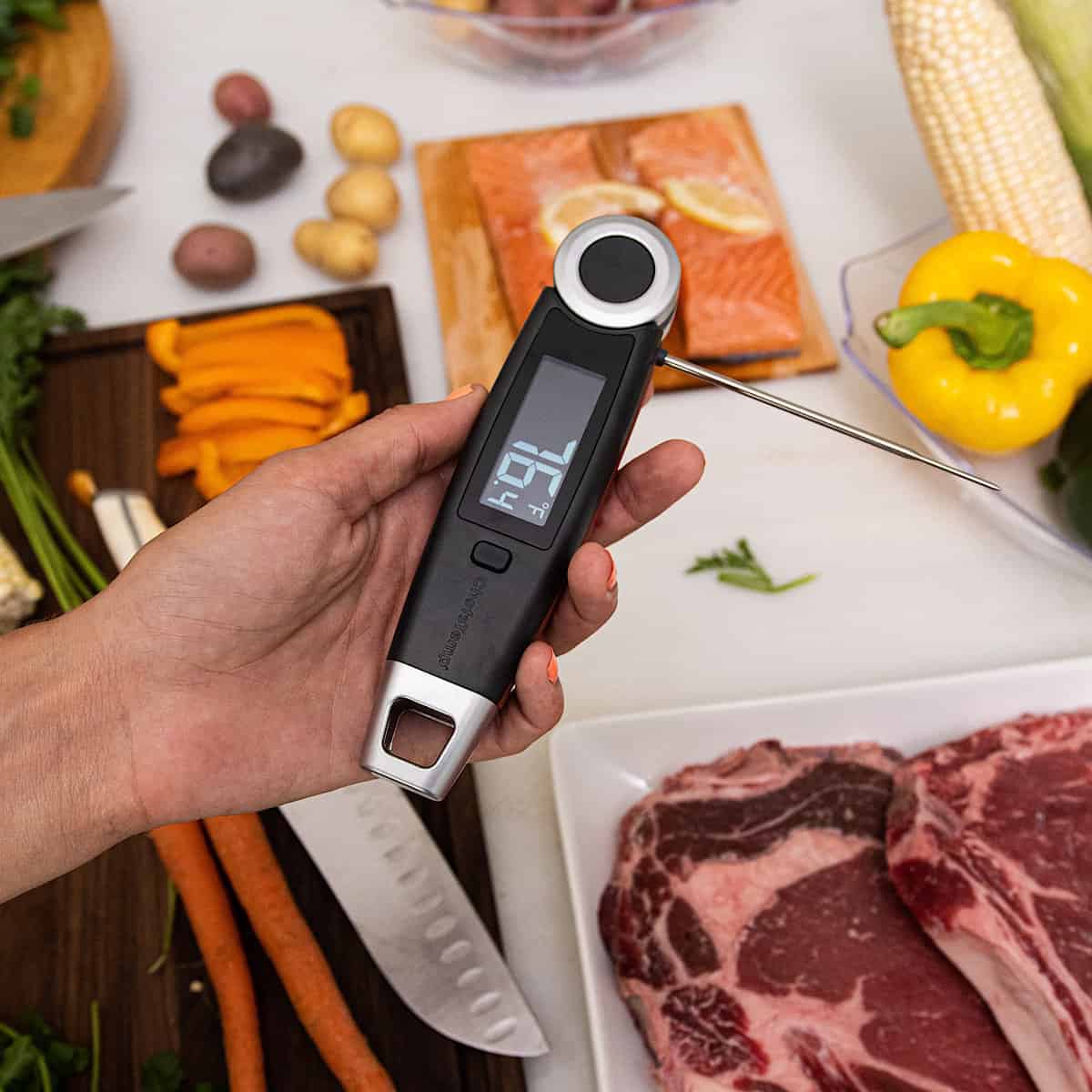 Meat or Cooking Thermometer - Definition and Cooking Information 