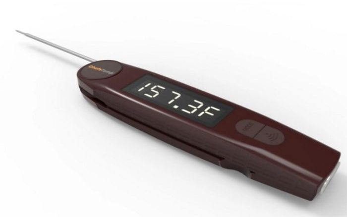 Where To Place Thermometer In Turkey To Get Accurate Results