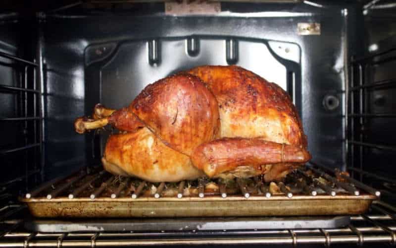 How to Put Thermometer in Turkey Correctly