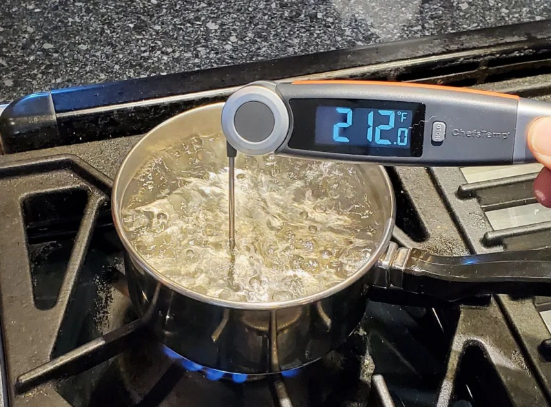 How To Tell If A Meat Thermometer Is Lying | ChefsTemp