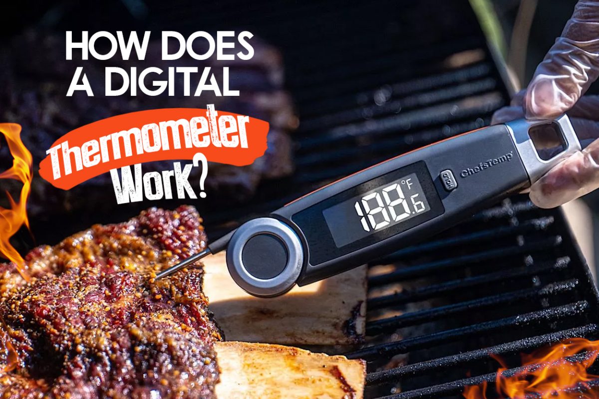 how-does-a-digital-thermometer-work-chefstemp