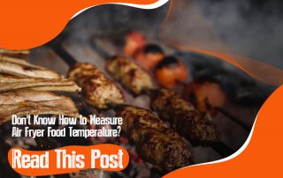 How to Measure Air Fryer Food Temperature