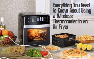 A Wireless Thermometer for Air Fryer Hit or Miss Let’s Find Out