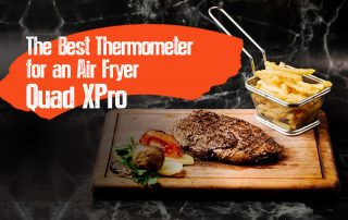 The Best Thermometer for an Air Fryer – Quad XPro