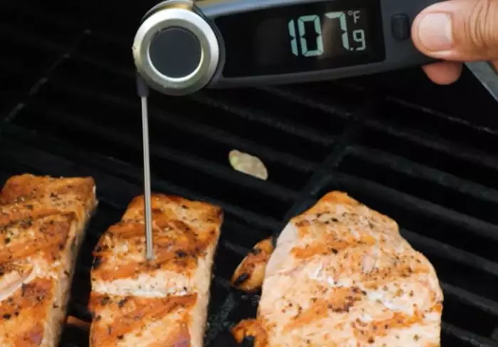 A food thermometer is essential in cooking food outdoors.