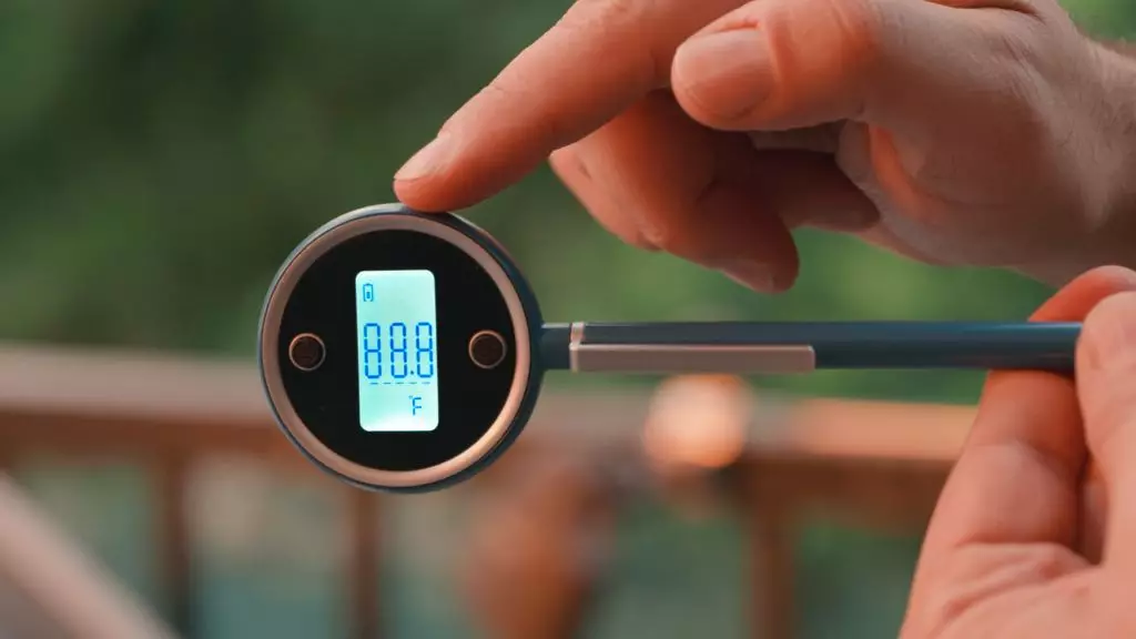 pocket pro instant thermometer