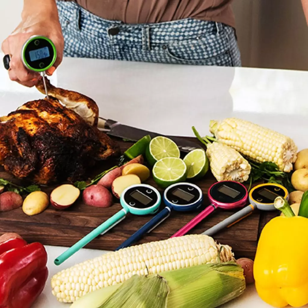 instant read meat thermometer pocket pro