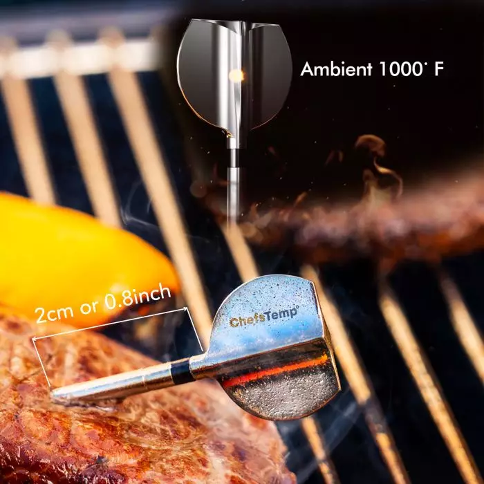 ProTemp 2 Plus - Needle Probe Wireless Meat Thermometer with Temperature Controller - Image 6